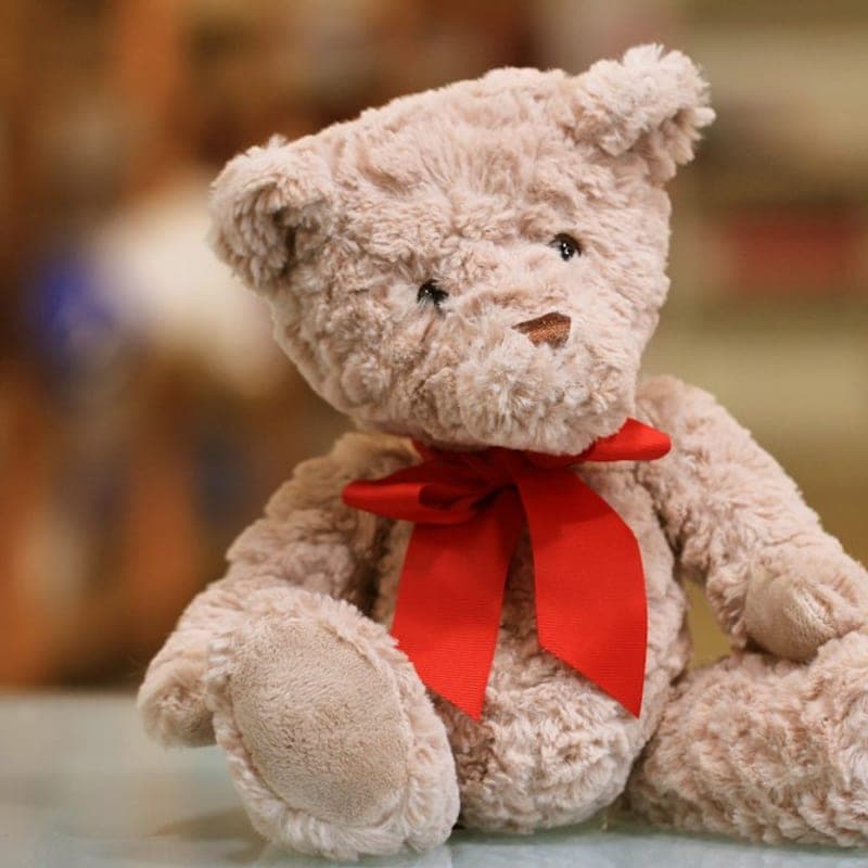 Small Teddy Bear Soft Toy